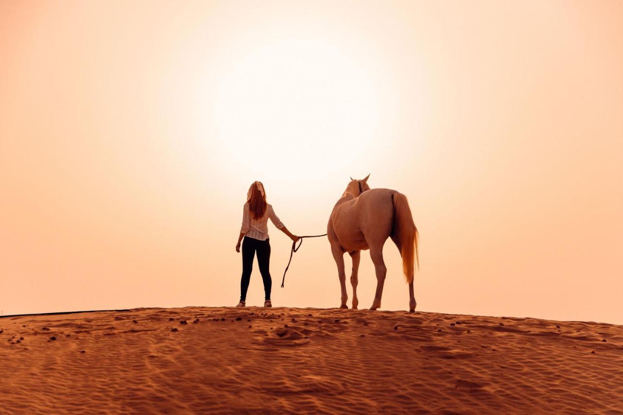 Al Wathba, A Luxury Collection Desert Resort & Spa, Αμπού Ντάμπι Εξωτερικό φωτογραφία